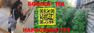 прущий лед Пугачёв
