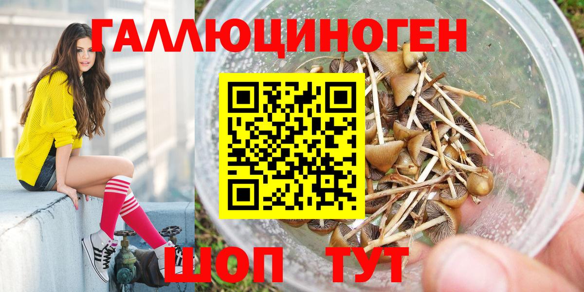 Рязань  Псилоцибиновые грибы ЛСД  Вход с VPN  Псилоцибиновые грибы прущие грибы 