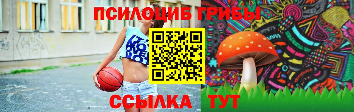 Галлюциногенные грибы Psilocybine cubensis Рязань
